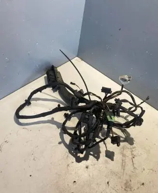 BMW 5 GT F07 Front door wiring loom 9210105 150048920095