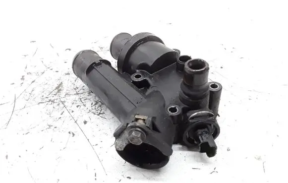 Thermostat/thermostat housing