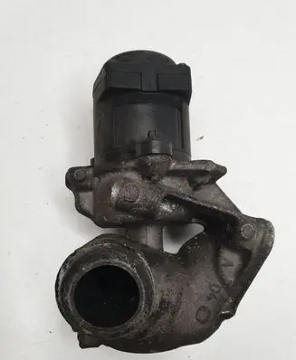 Hyundai Terracan EGR valve 216046799