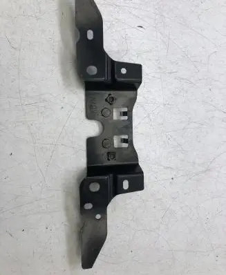 Engine bonnet/hood lock trim molding