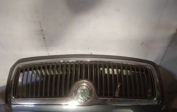 Skoda Fabia Mk1 (6Y) Front grill