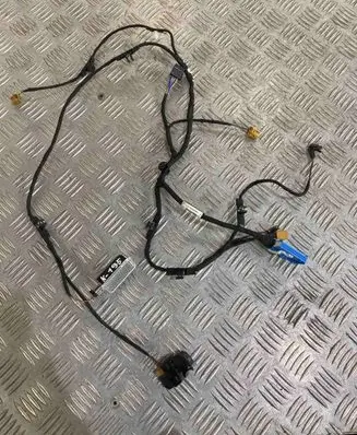 Front door wiring loom