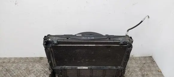 Mercedes-Benz E W213 Radiator set A0999063802
