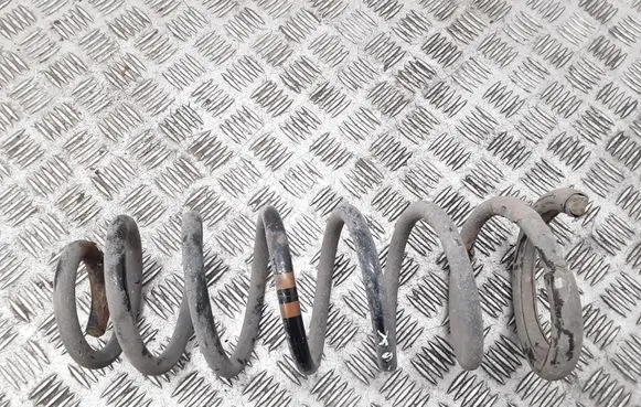 Rear coil spring