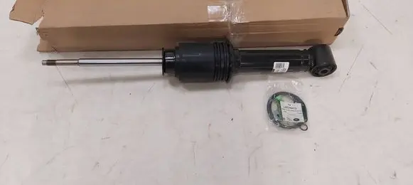 Land Rover Range Rover Sport L320 Rear shock absorber with coil spring LR016423