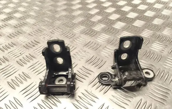 Renault Megane III Rear door hinge set 