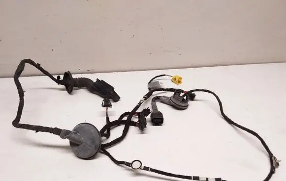 Front door wiring loom