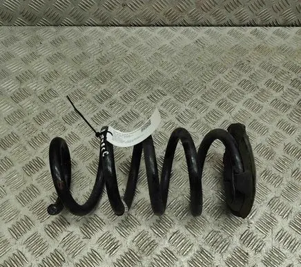 Tesla Model Y Rear coil spring 118847600B