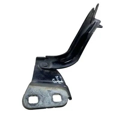 Ford Bronco Engine bonnet/hood hinges M1PB1G801AA