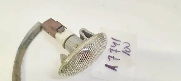 Front fender indicator light
