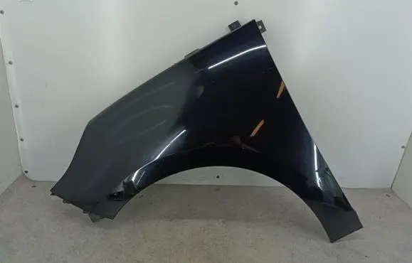 Renault Scenic III - Grand scenic III Fender TEGNE