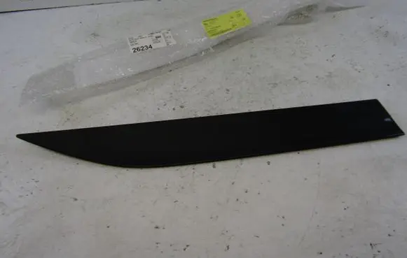 Rear door trim (molding)