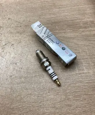 Volkswagen Transporter - Caravelle T5 Spark plug 101000051AA 0241235703