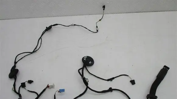 Audi A4 S4 B9 8W Front door