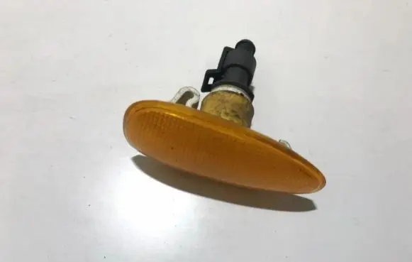 Front fender indicator light
