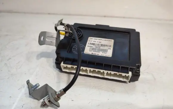 KIA Carens II Other control units/modules 954001D310