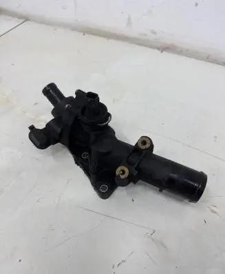 Thermostat/thermostat housing