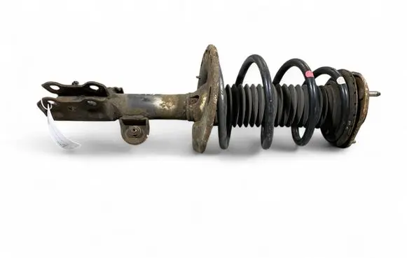 Lexus NX Front shock absorber with coil spring 4851078240