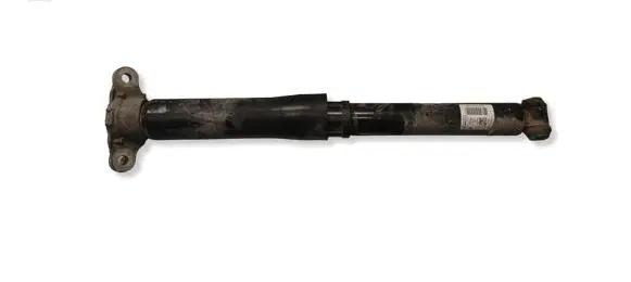 Ford Kuga III Rear shock absorber/damper LX6118080