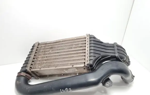 Opel Zafira A Intercooler radiator 93175282 B9179000