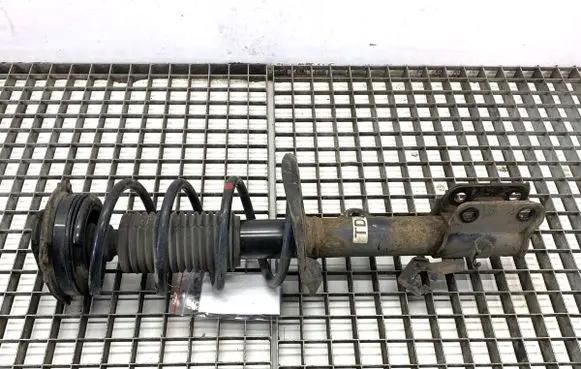 Nissan Juke I F15 Front shock absorber/damper 