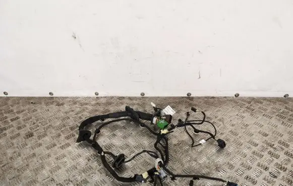 Peugeot 508 Front door wiring loom 9822489680