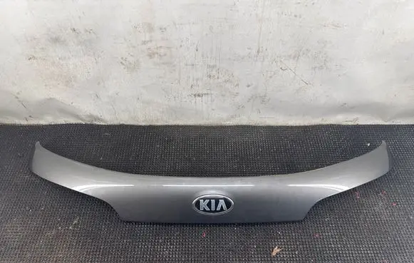 KIA Sorento Trunk door license plate light bar 873112P500