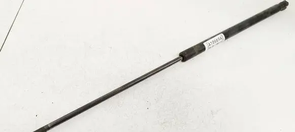 Tailgate/trunk strut/damper