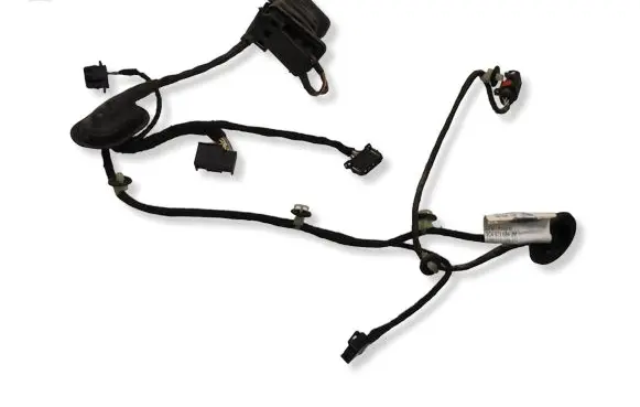 Volkswagen PASSAT B6 Rear door wiring loom 3C4971694JM