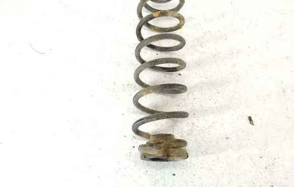Rear coil spring