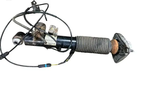 Rear shock absorber/damper