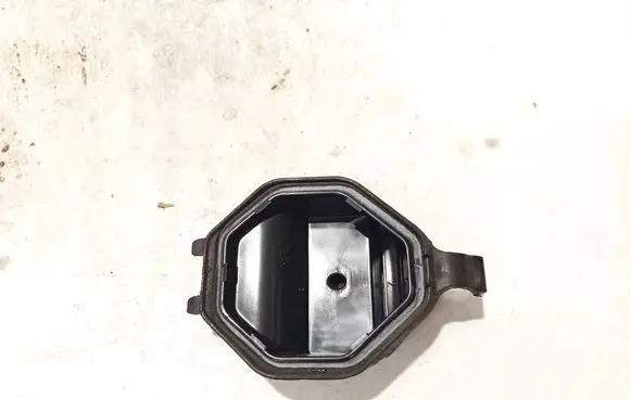 Volkswagen PASSAT B4 Headlight/headlamp dust cover 1419950