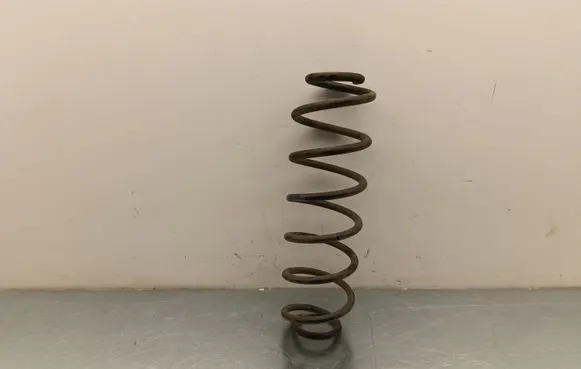 Opel Crossland X Rear coil spring