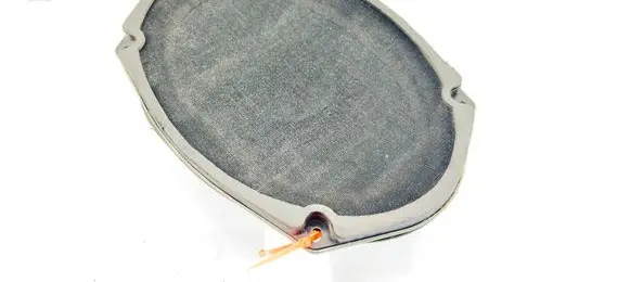 Chrysler 300 - 300C Front door speaker P05059067AC