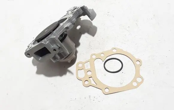 Renault Clio III Water pump 8200266950
