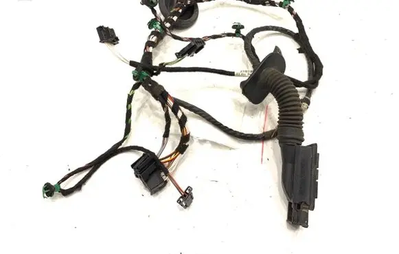 Volkswagen PASSAT B8 Front door wiring loom 3G1971120H