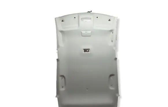Nissan Leaf II (ZE1) Headlining 572168451