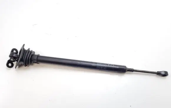Porsche Panamera (970) Front door check strap stopper 97053715200