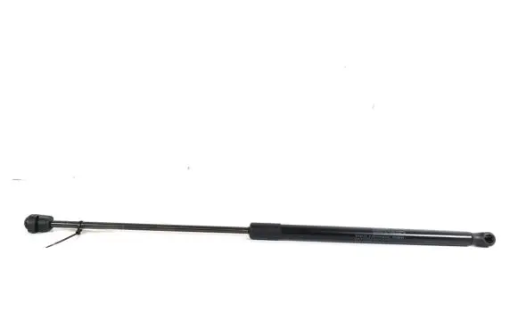 Tailgate strut