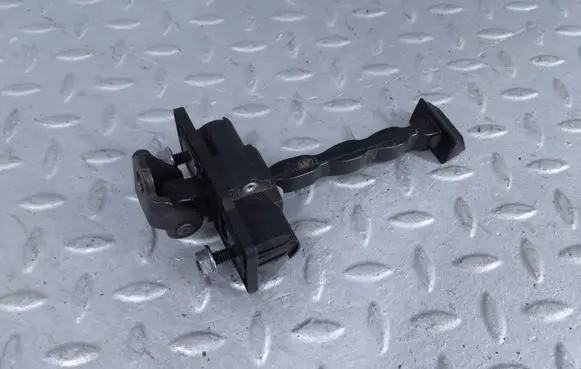 Citroen C4 III e-C4 Rear door check strap stopper 9831196980