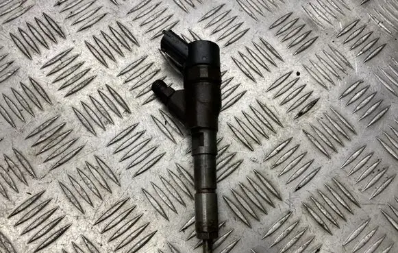 Peugeot 206 Fuel injector 9653594280 963594280