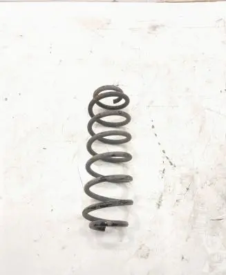 Rear coil spring