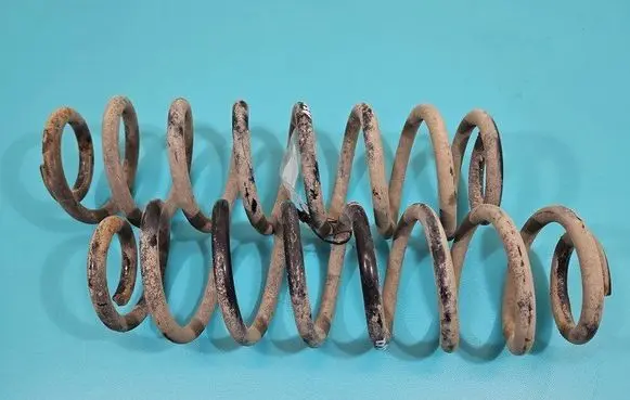 Rear coil spring