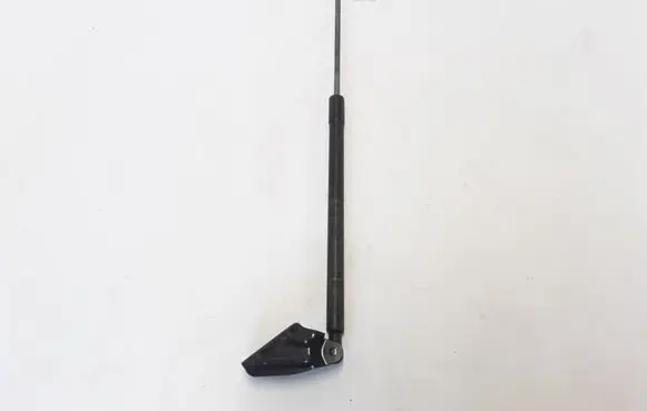 Tailgate strut