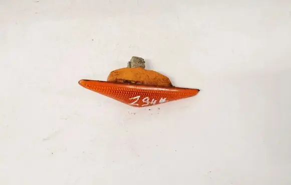 Front fender indicator light