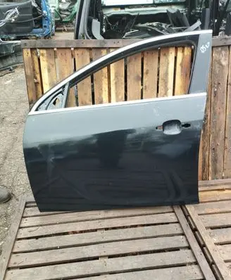 Opel Insignia A Front door