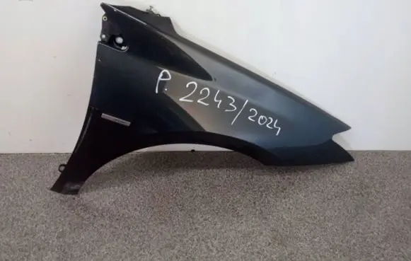 Renault Laguna III Fender
