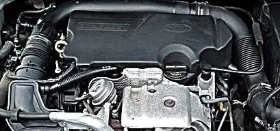 Ford Focus Engine swap M1DD-40247A F1FG-6007-GB