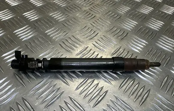Citroen DS5 Fuel injector 9686191080