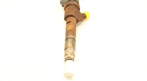 Renault Megane II Fuel injector 0445110110B